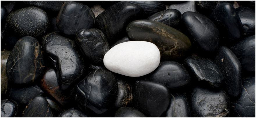 White pebble on black pebbles